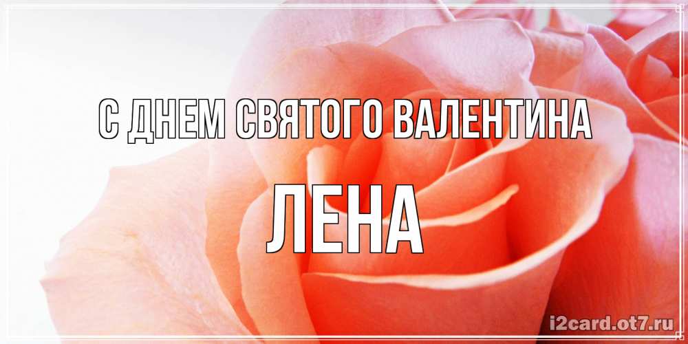 Открытка на каждый день с именем, Лена С днем Святого Валентина открытка на день Святого Валентина с розовой розой Прикольная открытка с пожеланием онлайн скачать бесплатно 