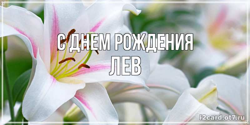 Картинка С днем рождения, Лев