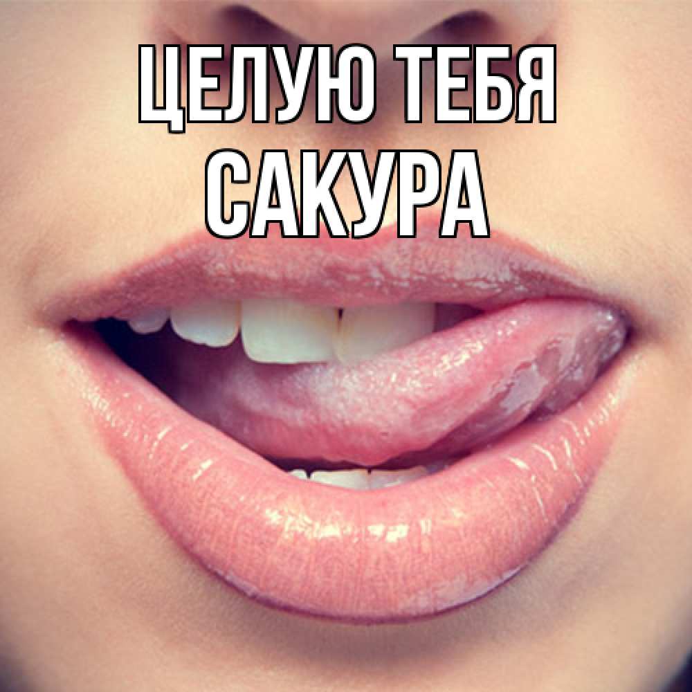 Открытка на каждый день с именем, Сакура Целую тебя губы с языком Прикольная открытка с пожеланием онлайн скачать бесплатно 