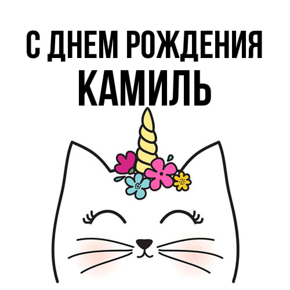 Открытка на каждый день с именем, Камиль С днем рождения милый кот с одним рожком Прикольная открытка с пожеланием онлайн скачать бесплатно 