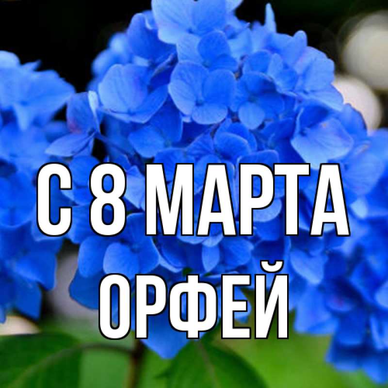 Открытка с именем, Орфей, C 8 МАРТА