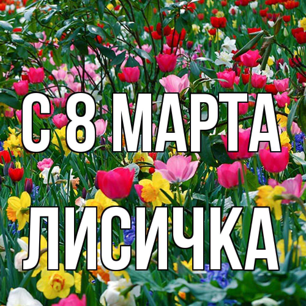Открытка на каждый день с именем, Лисичка C 8 МАРТА с международным женским днем поздравления для женщины Прикольная открытка с пожеланием онлайн скачать бесплатно 