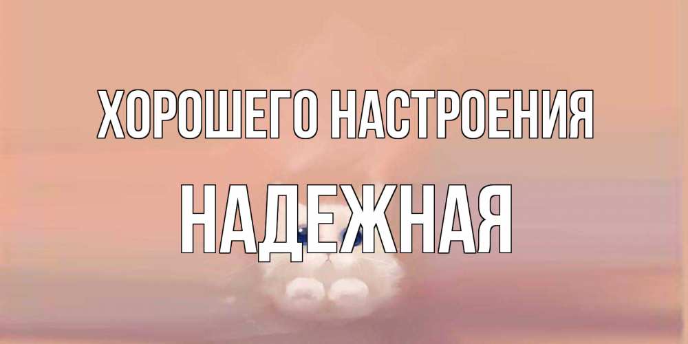 Открытка на каждый день с именем, надежная Хорошего настроения кошка Прикольная открытка с пожеланием онлайн скачать бесплатно 