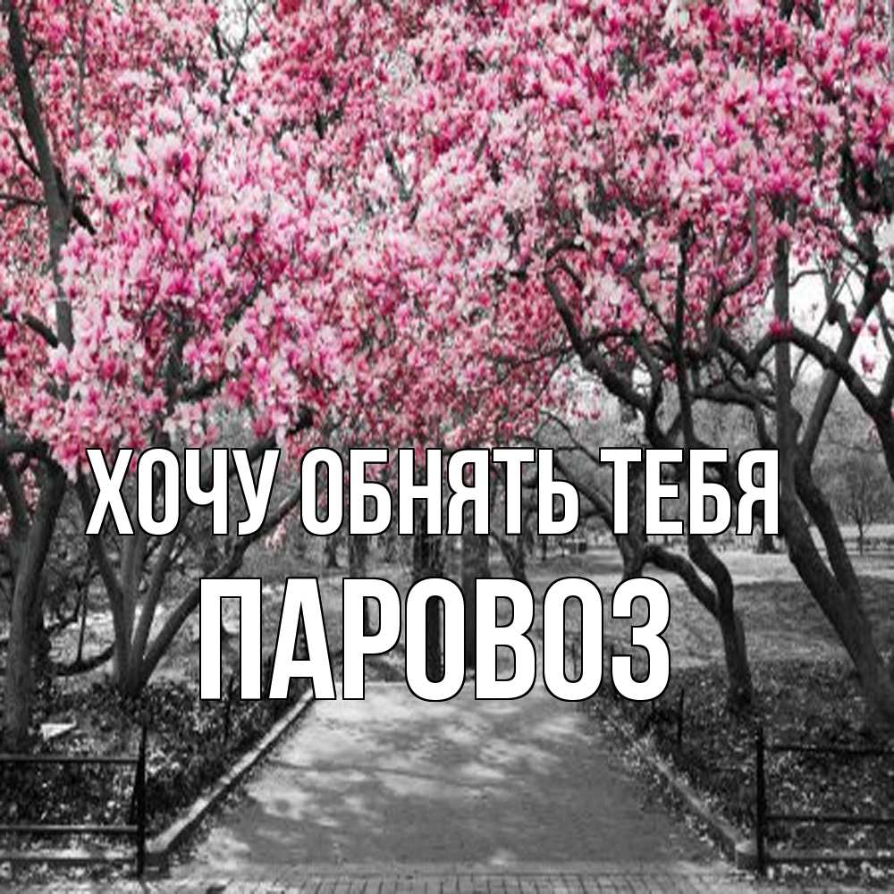 Открытка на каждый день с именем, Паровоз Хочу обнять тебя обработанное фото Прикольная открытка с пожеланием онлайн скачать бесплатно 