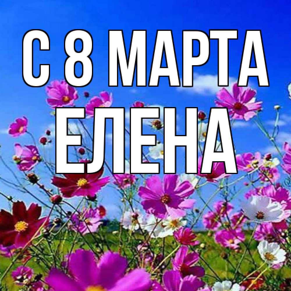 Открытка на каждый день с именем, Елена C 8 МАРТА цветы Прикольная открытка с пожеланием онлайн скачать бесплатно 
