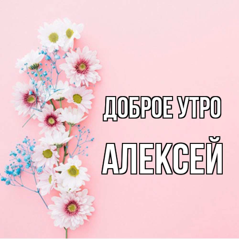 Открытка на каждый день с именем, Алексей Доброе утро цветы с подписью Прикольная открытка с пожеланием онлайн скачать бесплатно 