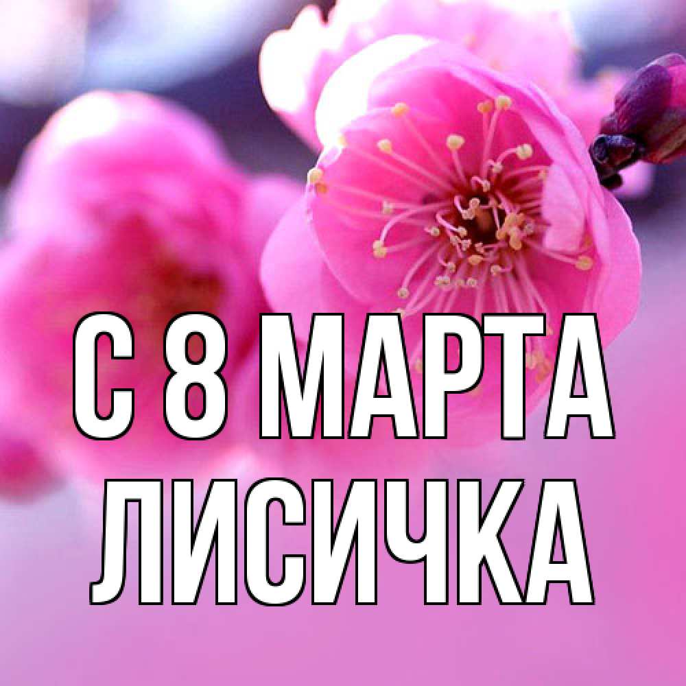 Открытка на каждый день с именем, Лисичка C 8 МАРТА международный женский день Прикольная открытка с пожеланием онлайн скачать бесплатно 