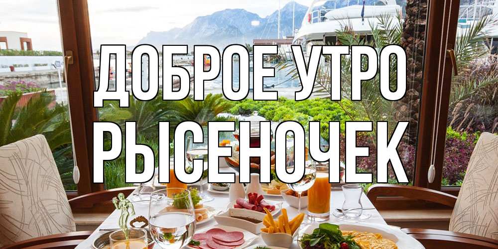 Открытка на каждый день с именем, Рысеночек Доброе утро тропическое утро Прикольная открытка с пожеланием онлайн скачать бесплатно 