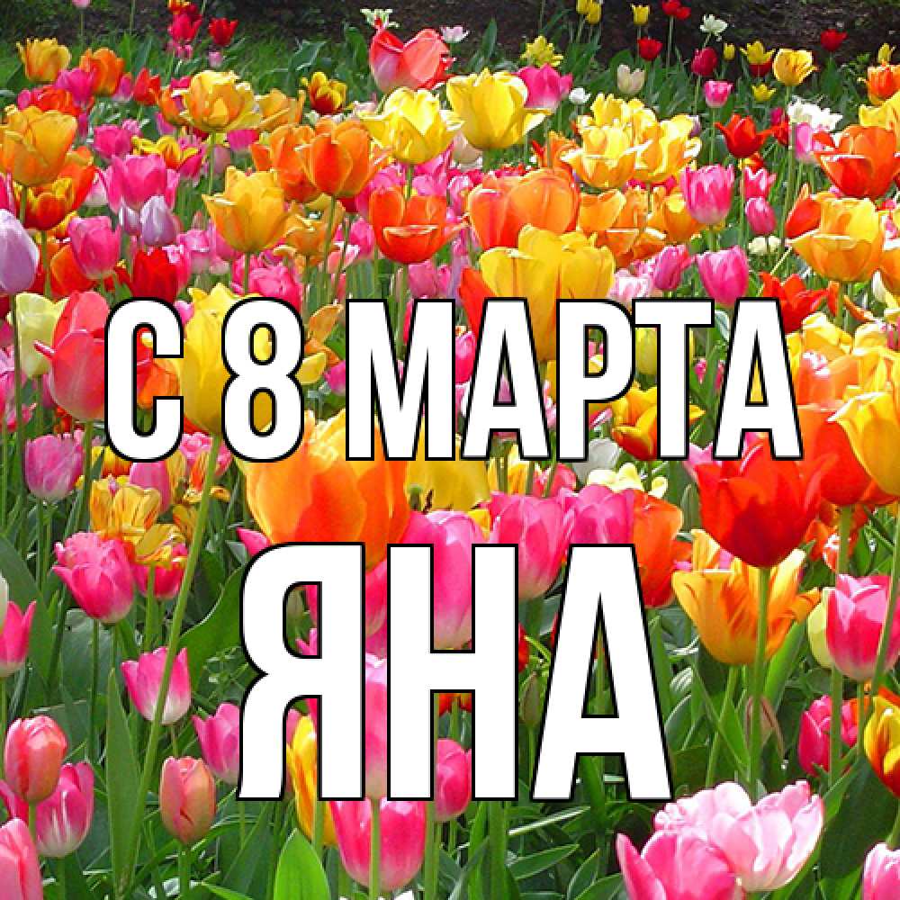 Открытка на каждый день с именем, Яна C 8 МАРТА на международный женский день Прикольная открытка с пожеланием онлайн скачать бесплатно 