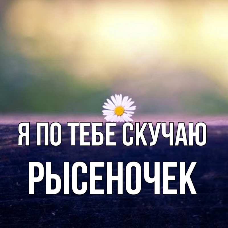 Картинка Я по тебе скучаю, Рысеночек