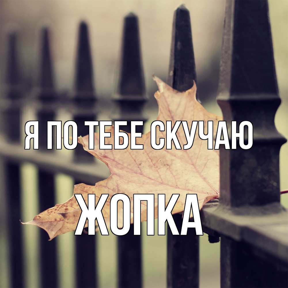Открытка на каждый день с именем, Жопка Я по тебе скучаю очень скучно Прикольная открытка с пожеланием онлайн скачать бесплатно 
