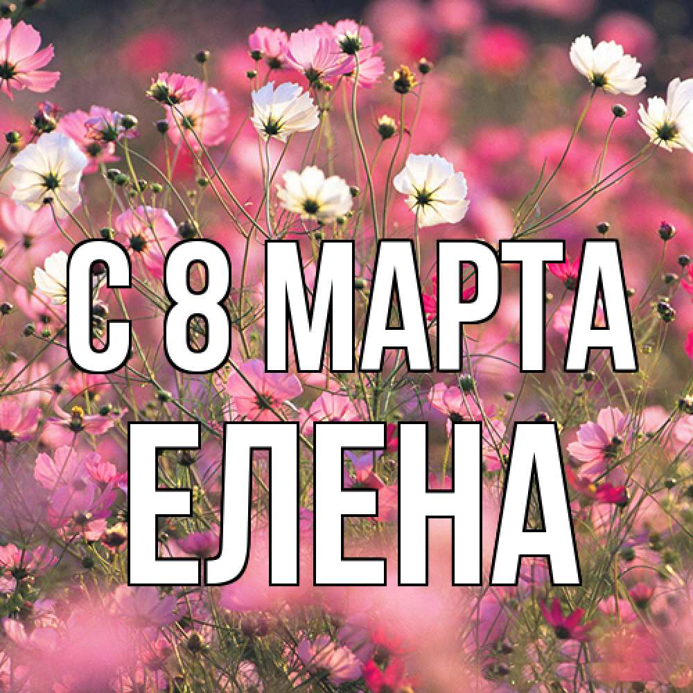 Открытка на каждый день с именем, Елена C 8 МАРТА красиво 1 Прикольная открытка с пожеланием онлайн скачать бесплатно 