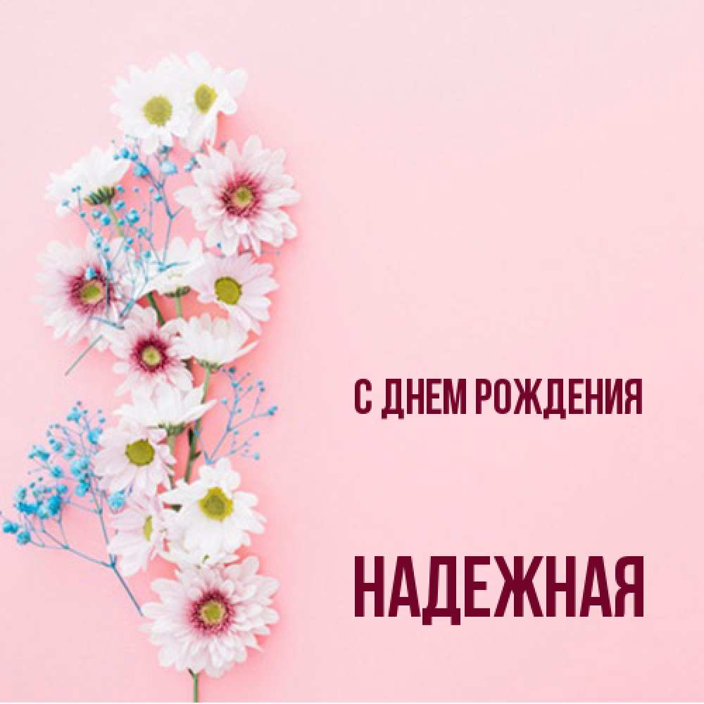 Открытка на каждый день с именем, надежная С днем рождения Родная моя с днем рождения тебя картинка с цветами белыми и голубыми Прикольная открытка с пожеланием онлайн скачать бесплатно 