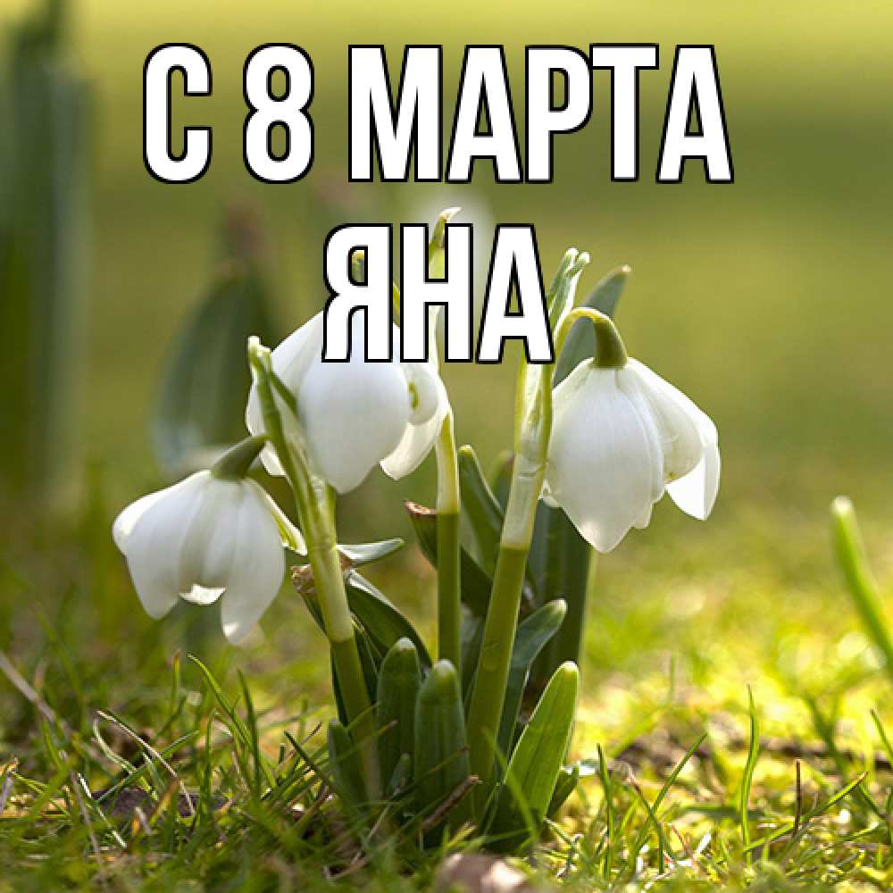 Открытка на каждый день с именем, Яна C 8 МАРТА ранние цветы 2 Прикольная открытка с пожеланием онлайн скачать бесплатно 