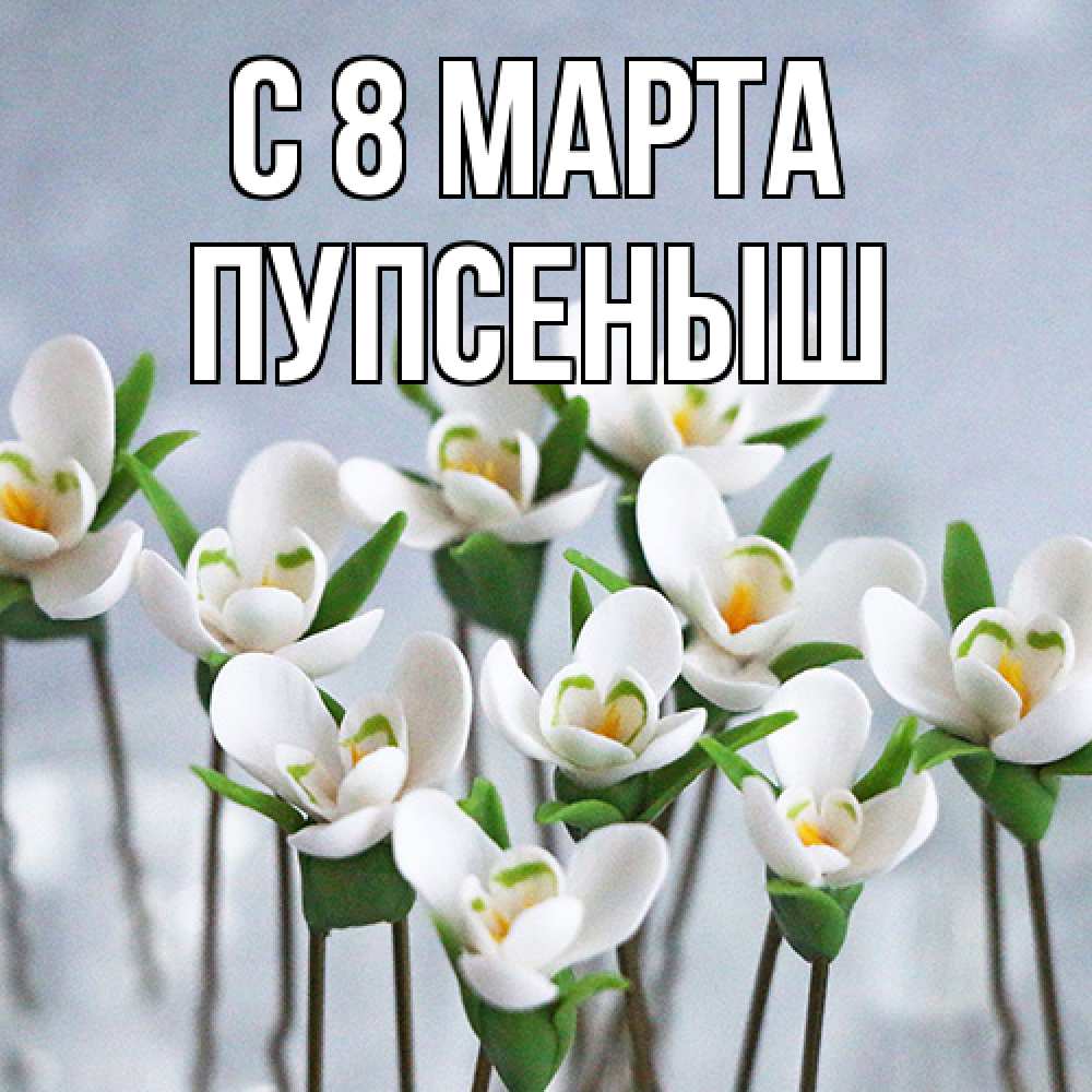 Открытка на каждый день с именем, пупсеныш C 8 МАРТА весенние цветы Прикольная открытка с пожеланием онлайн скачать бесплатно 