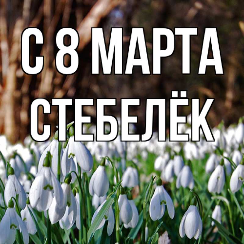 Открытка с именем, Стебелёк, C 8 МАРТА