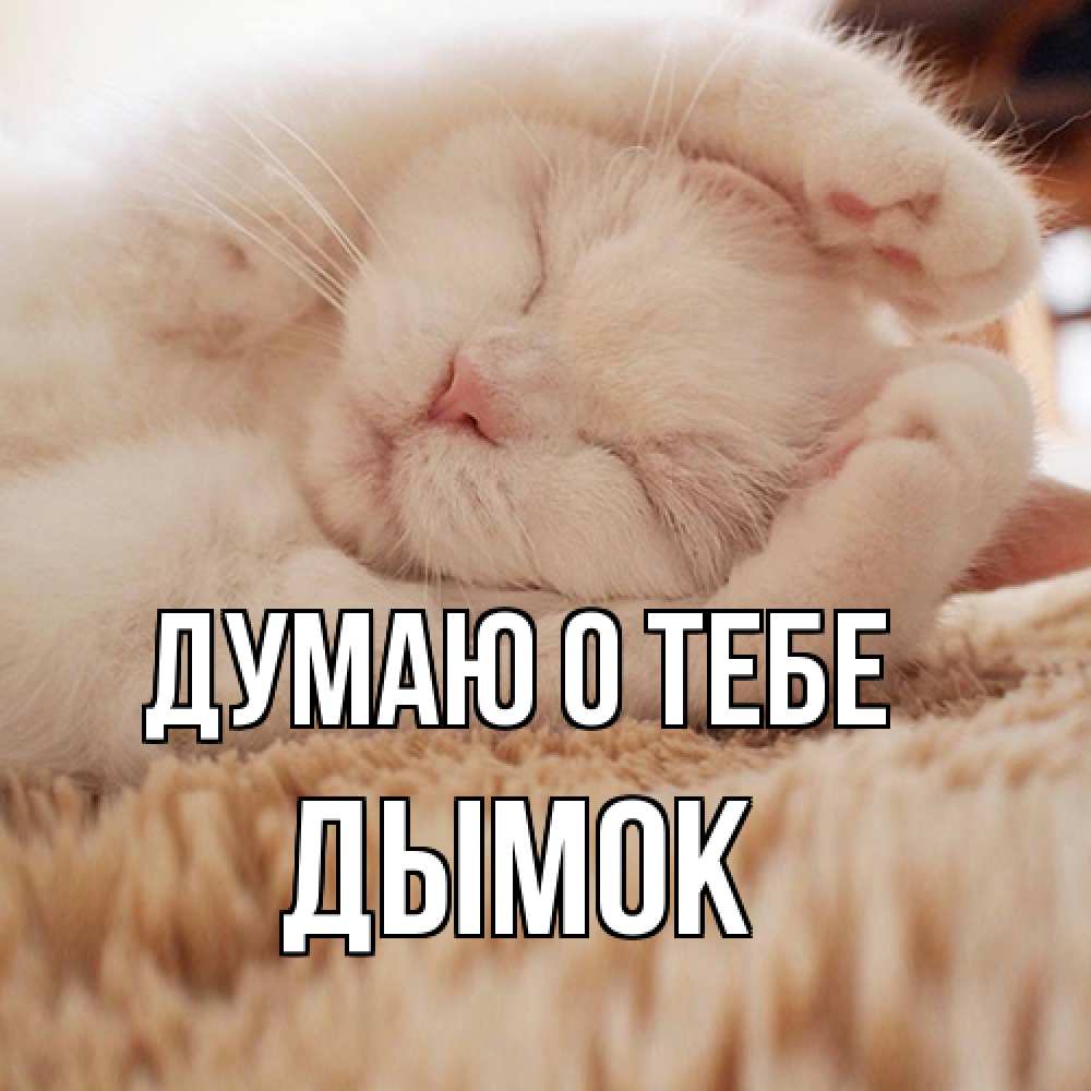 Открытка на каждый день с именем, Дымок Думаю о тебе для любимой девушки милота Прикольная открытка с пожеланием онлайн скачать бесплатно 
