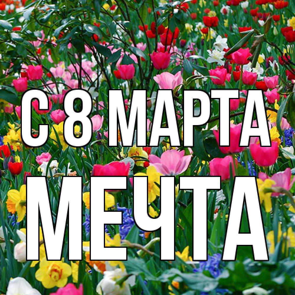 Открытка на каждый день с именем, мечта C 8 МАРТА с международным женским днем поздравления для женщины Прикольная открытка с пожеланием онлайн скачать бесплатно 