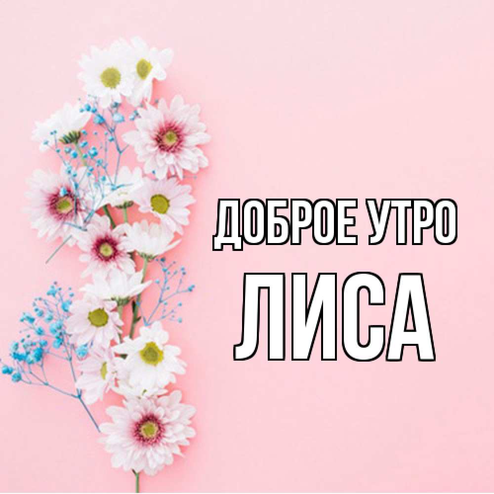 Открытка на каждый день с именем, лиса Доброе утро цветы с подписью Прикольная открытка с пожеланием онлайн скачать бесплатно 
