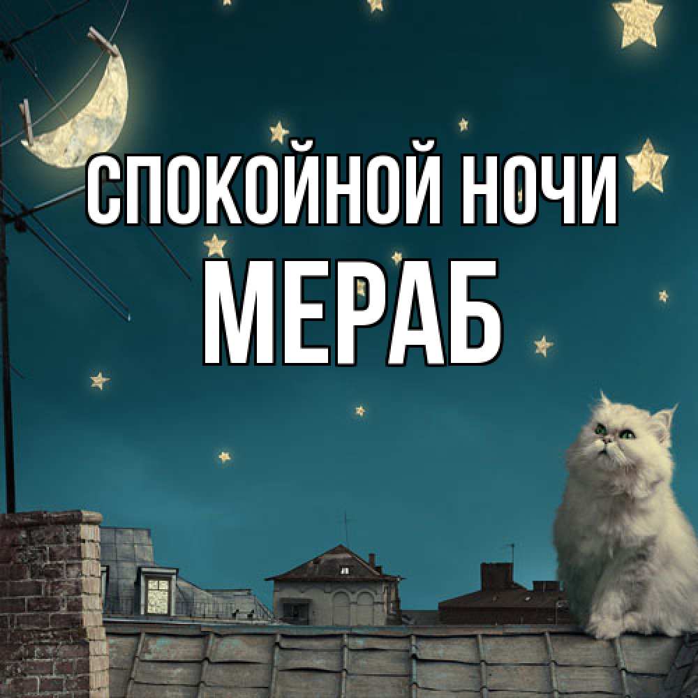 Открытка на каждый день с именем, Мераб Спокойной ночи белый кот сидит на крыше Прикольная открытка с пожеланием онлайн скачать бесплатно 