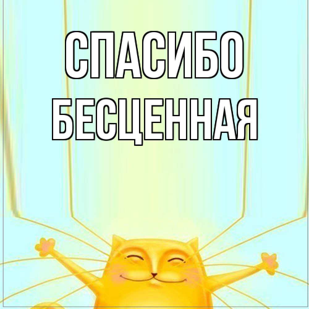 Открытка на каждый день с именем, Бесценная Спасибо кот с усами благодарит Прикольная открытка с пожеланием онлайн скачать бесплатно 