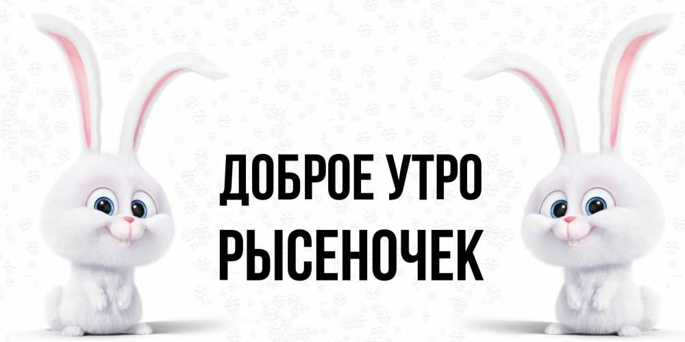 Открытка на каждый день с именем, Рысеночек Доброе утро кролики с длинными ушками Прикольная открытка с пожеланием онлайн скачать бесплатно 