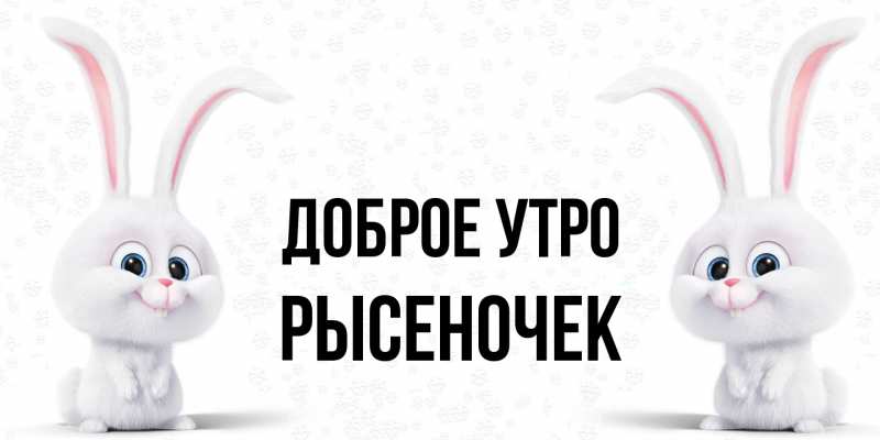 Картинка Доброе утро, Рысеночек
