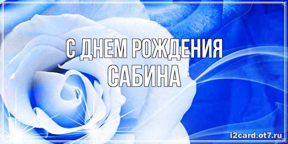 Открытка на каждый день с именем, Сабина С днем рождения белая роза на голубом фоне Прикольная открытка с пожеланием онлайн скачать бесплатно 