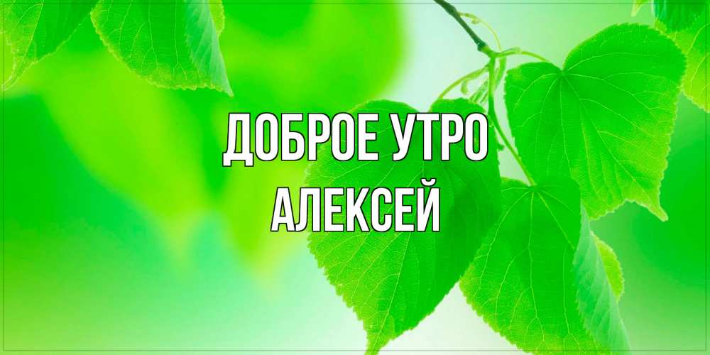 Открытка на каждый день с именем, Алексей Доброе утро доброе утро с березовыми листьями Прикольная открытка с пожеланием онлайн скачать бесплатно 