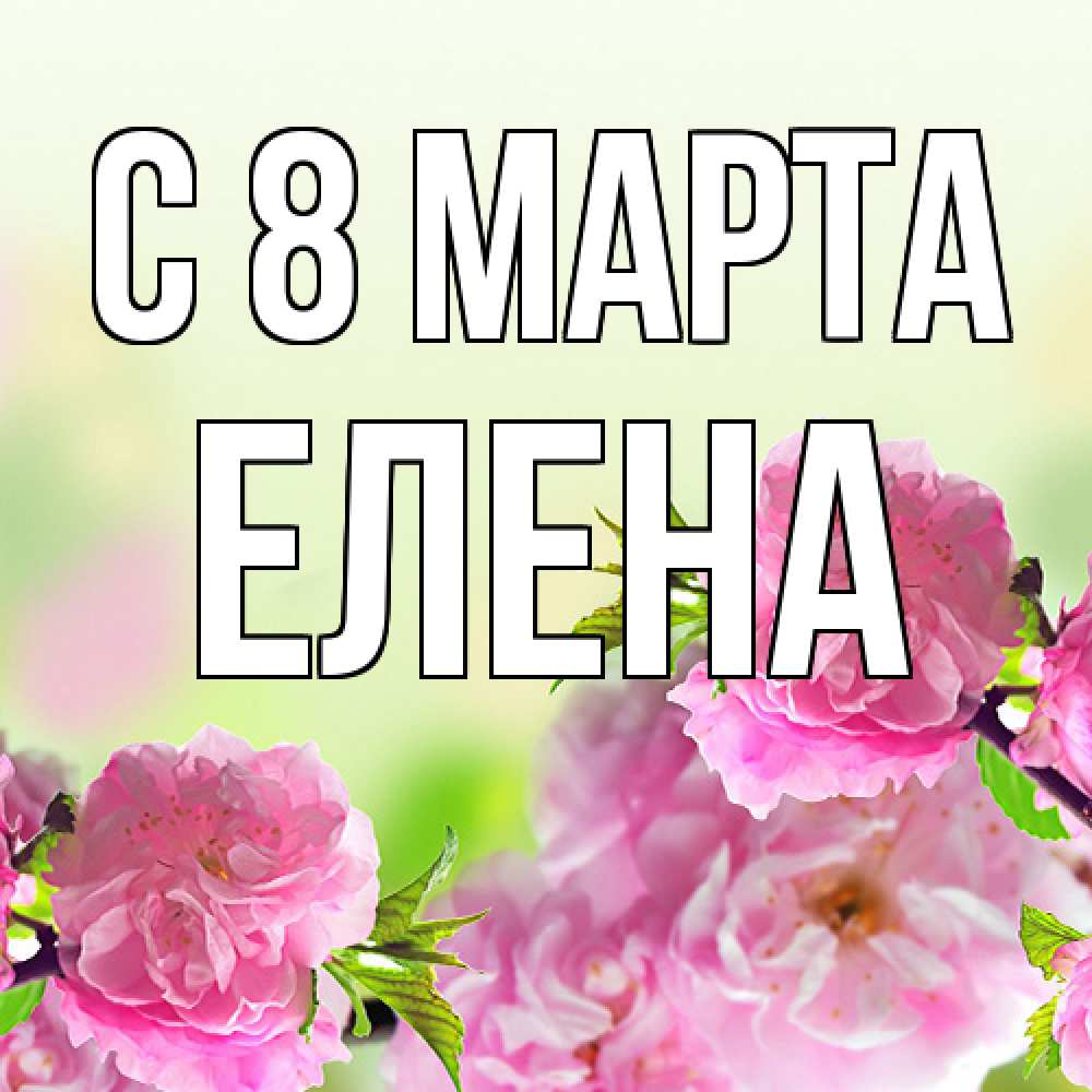 Открытка на каждый день с именем, Елена C 8 МАРТА цветы Прикольная открытка с пожеланием онлайн скачать бесплатно 