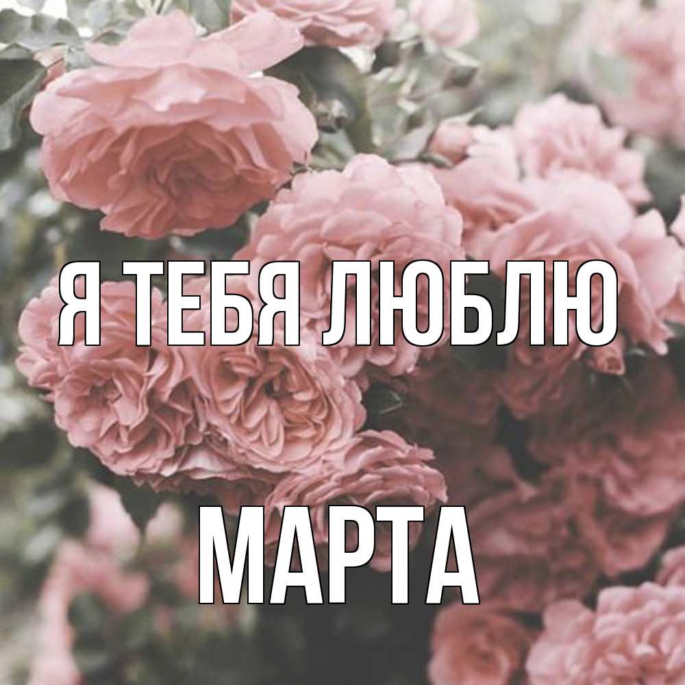 Открытка на каждый день с именем, Марта Я тебя люблю розы 3 Прикольная открытка с пожеланием онлайн скачать бесплатно 