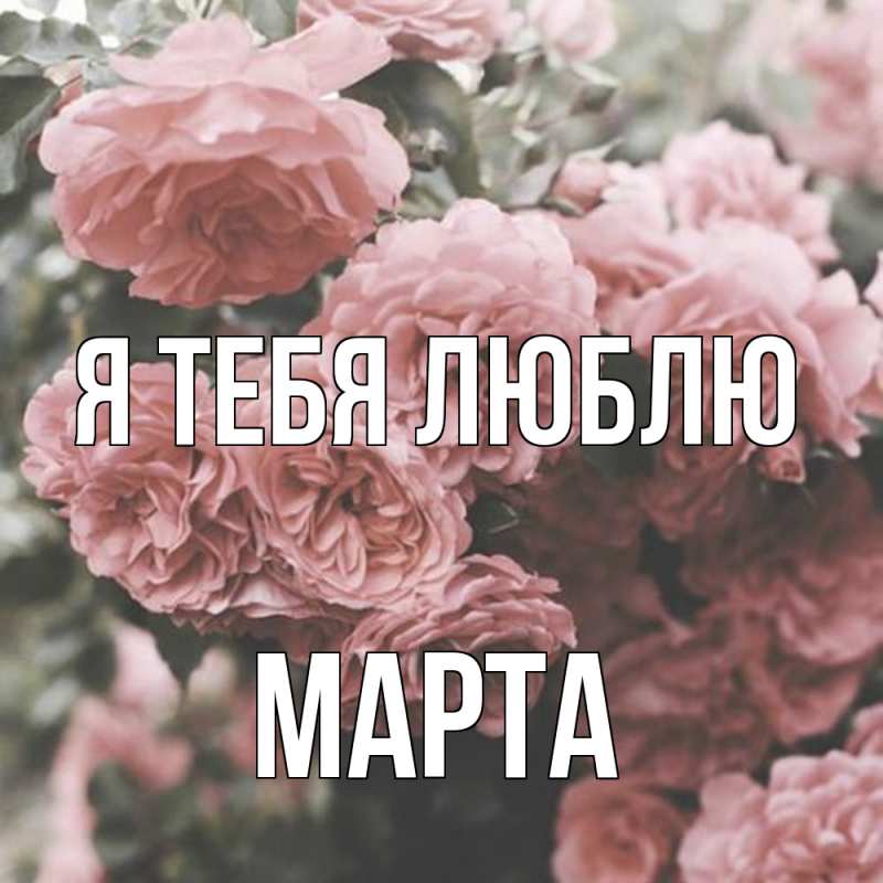 Картинка Я тебя люблю, Марта