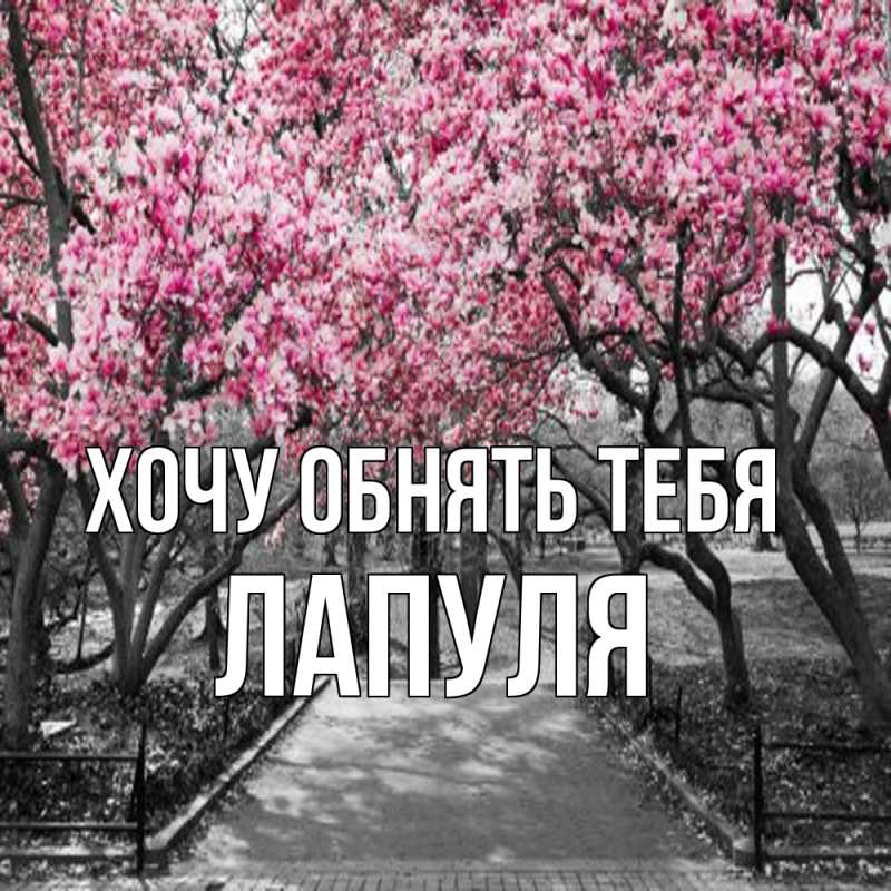 Открытка с именем, Лапуля, Хочу обнять тебя