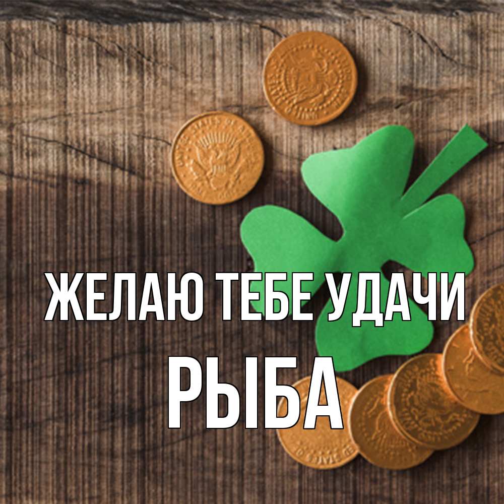 Открытка на каждый день с именем, Рыба Желаю тебе удачи на удачу сегодня Прикольная открытка с пожеланием онлайн скачать бесплатно 