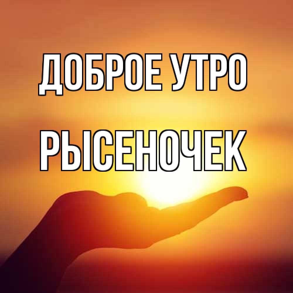 Открытка на каждый день с именем, Рысеночек Доброе утро ладошка и закат Прикольная открытка с пожеланием онлайн скачать бесплатно 