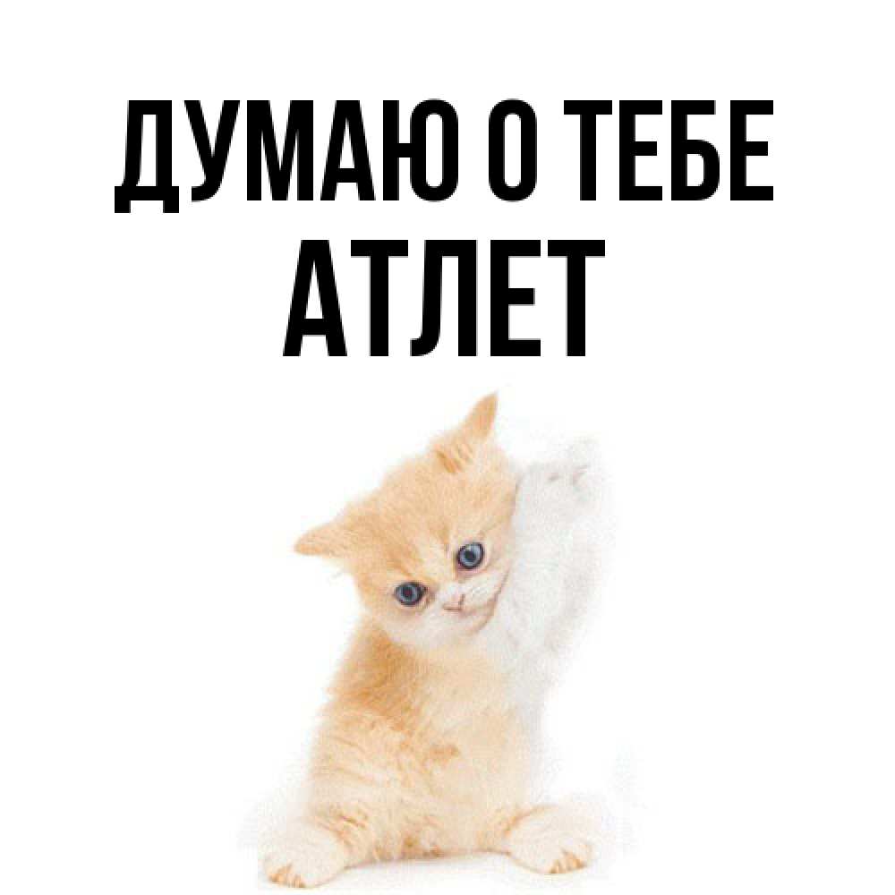 Открытка на каждый день с именем, Атлет Думаю о тебе зверушки и милота Прикольная открытка с пожеланием онлайн скачать бесплатно 