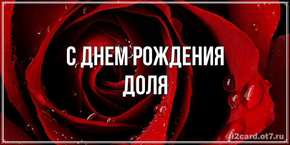 Открытка на каждый день с именем, Доля С днем рождения крупная бордовая роза Прикольная открытка с пожеланием онлайн скачать бесплатно 