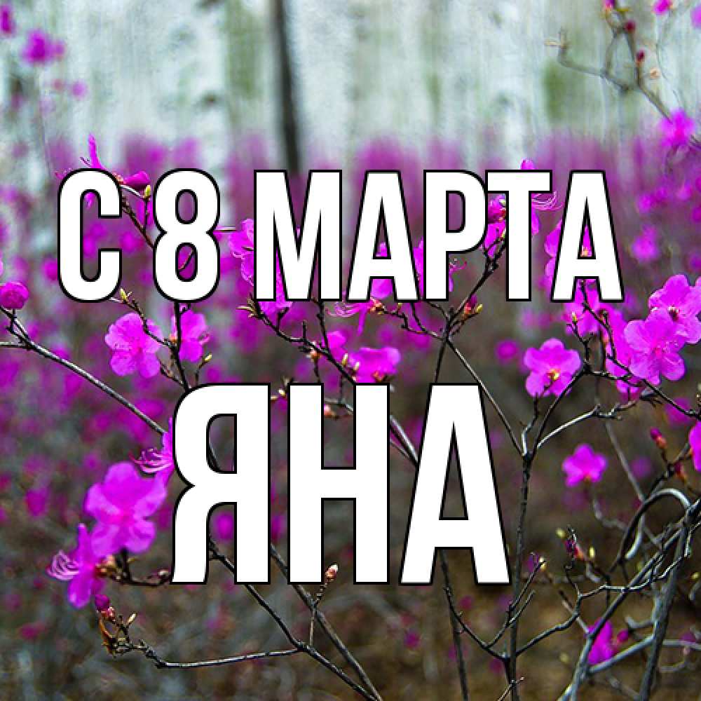 Открытка на каждый день с именем, Яна C 8 МАРТА дикие цветы Прикольная открытка с пожеланием онлайн скачать бесплатно 