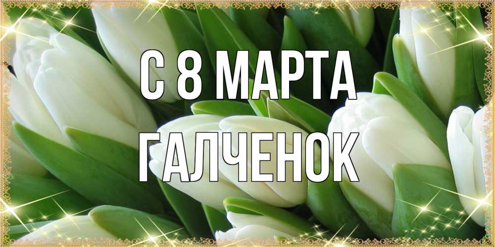 Открытка на каждый день с именем, Галченок C 8 МАРТА поздравляем с 8 марта Прикольная открытка с пожеланием онлайн скачать бесплатно 
