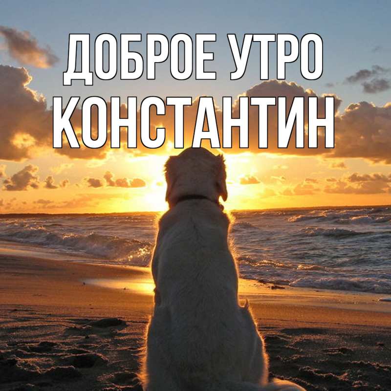 Открытка с именем, Константин, Доброе утро