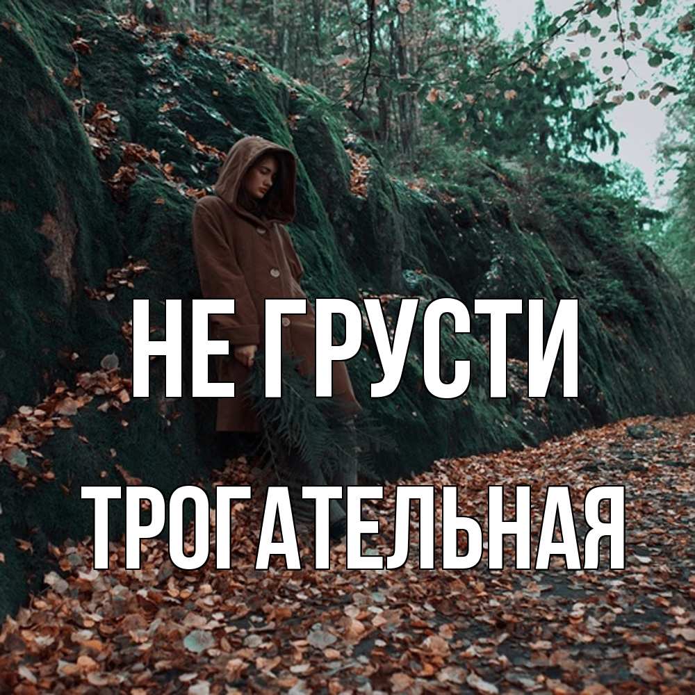 Открытка на каждый день с именем, Трогательная Не грусти осенний лес Прикольная открытка с пожеланием онлайн скачать бесплатно 