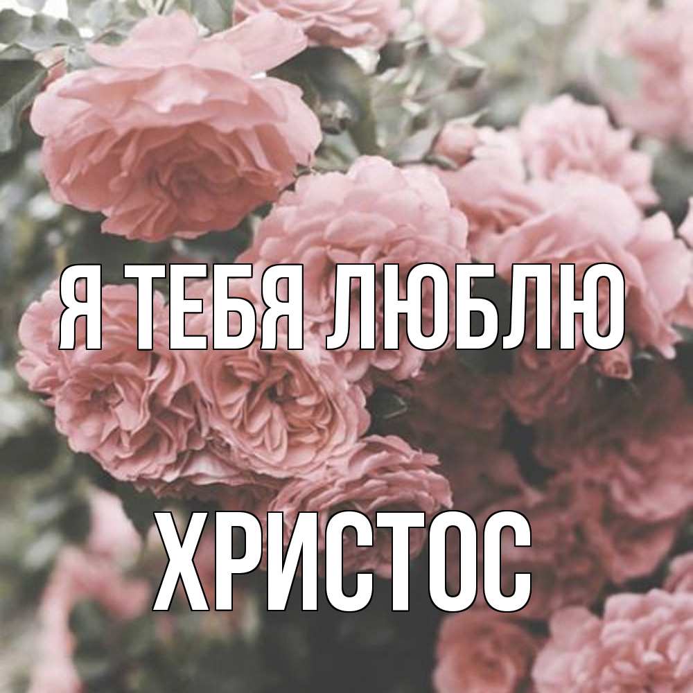 Открытка на каждый день с именем, Христос Я тебя люблю розы 3 Прикольная открытка с пожеланием онлайн скачать бесплатно 