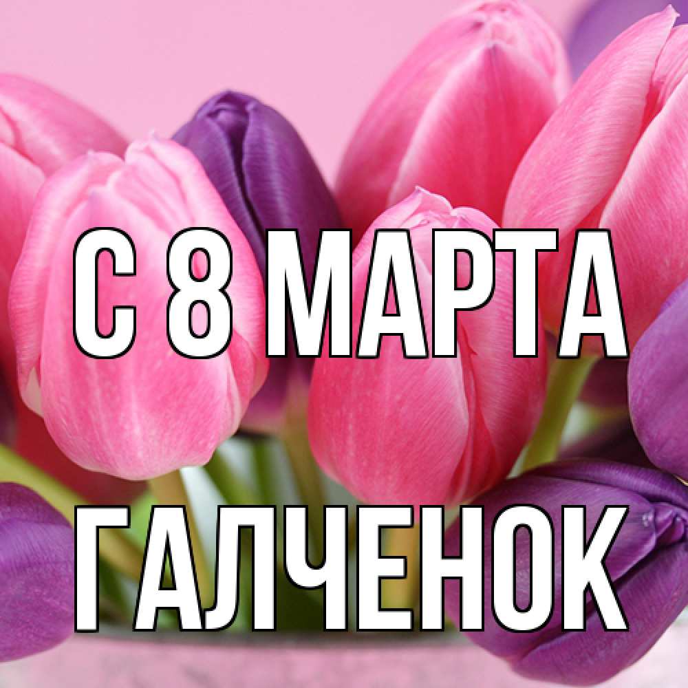 Открытка на каждый день с именем, Галченок C 8 МАРТА маме 1 Прикольная открытка с пожеланием онлайн скачать бесплатно 