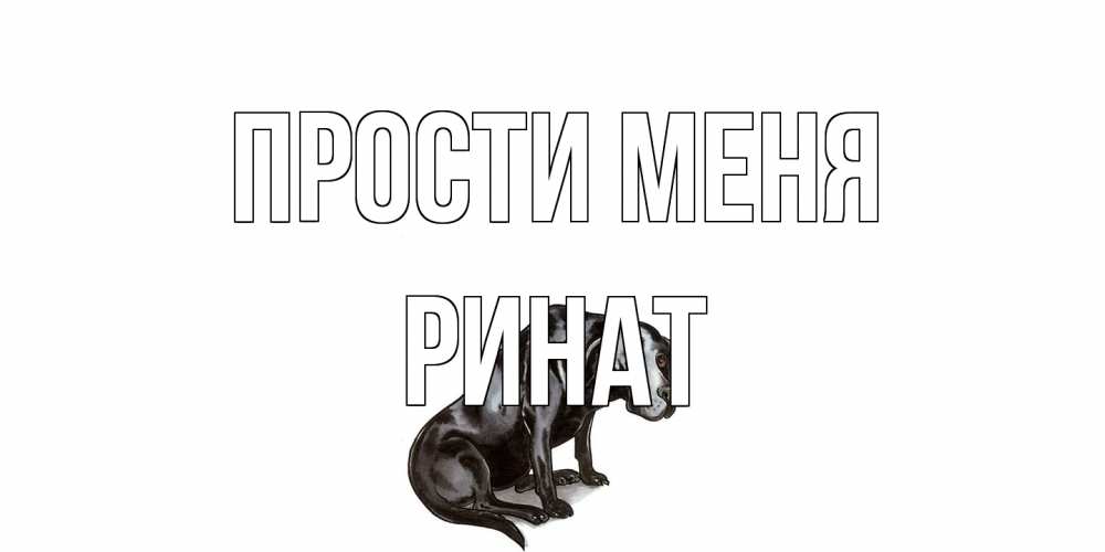 Открытка на каждый день с именем, Ринат Прости меня грустная собака на открытке с подписью прости меня Прикольная открытка с пожеланием онлайн скачать бесплатно 