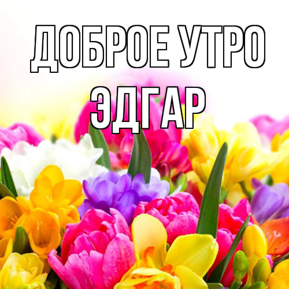 Открытка на каждый день с именем, Эдгар Доброе утро создать открытку со свое подписью Прикольная открытка с пожеланием онлайн скачать бесплатно 