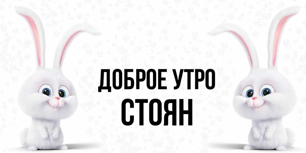 Открытка на каждый день с именем, Стоян Доброе утро кролики с длинными ушками Прикольная открытка с пожеланием онлайн скачать бесплатно 