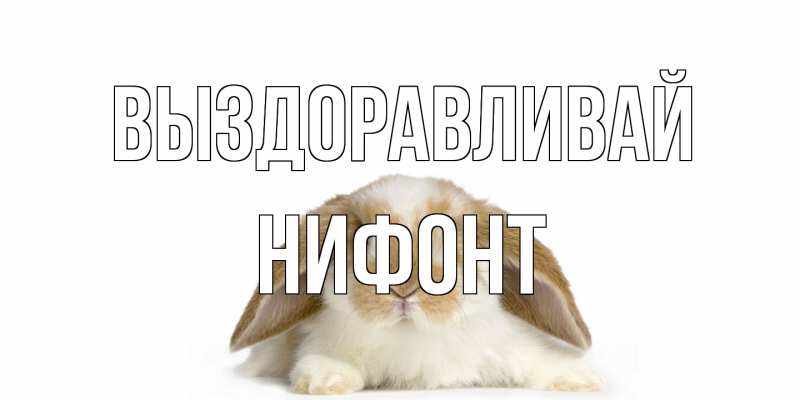 Открытка с именем, Нифонт, Выздоравливай