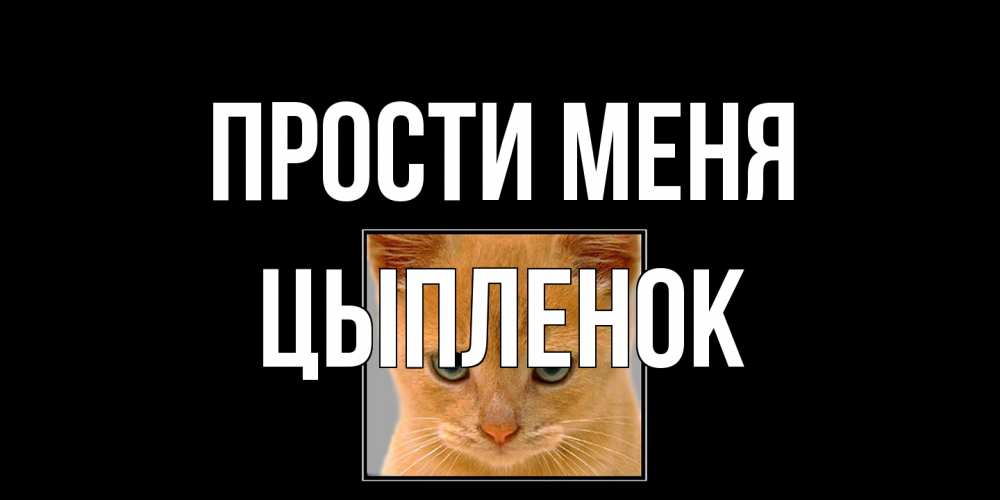 Открытка на каждый день с именем, Цыпленок Прости меня рыжий грустный кот просит прощения Прикольная открытка с пожеланием онлайн скачать бесплатно 