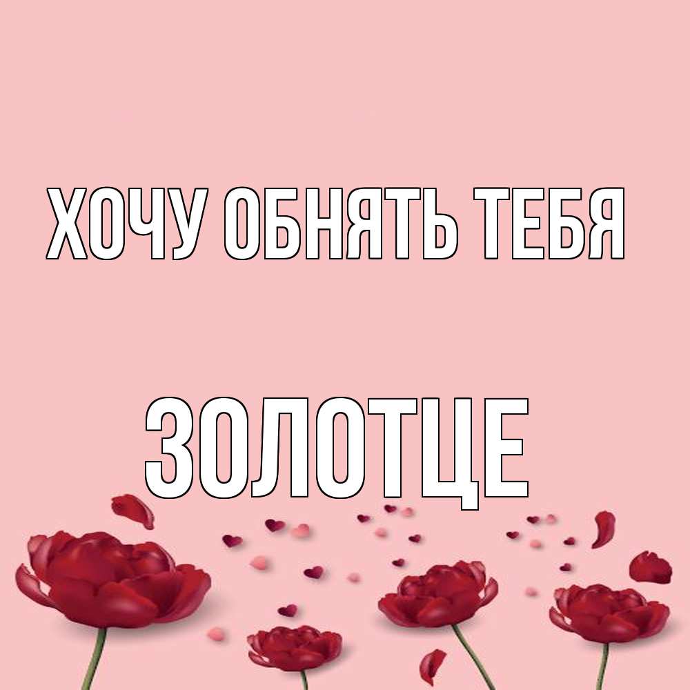 Открытка на каждый день с именем, Золотце Хочу обнять тебя бесплатно Прикольная открытка с пожеланием онлайн скачать бесплатно 