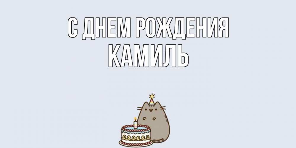Открытка на каждый день с именем, Камиль С днем рождения кот, торт Прикольная открытка с пожеланием онлайн скачать бесплатно 